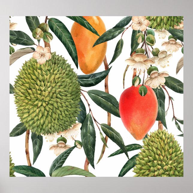 Poster Aquarelle de durian tropical, motif de mangue. (Devant)