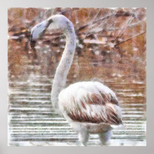 Poster Aquarelle de Flamant rose exotique