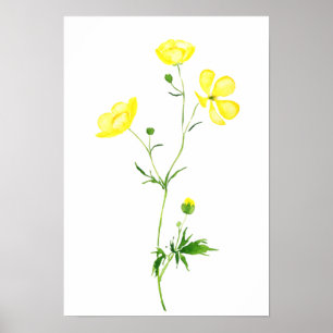 Poster aquarelle de fleur de butte jaune