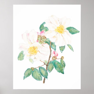 Poster aquarelle de fleurs de camélia blanc