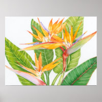 Aquarelle de fleurs exotiques