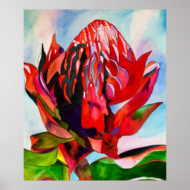 Poster Aquarelle de fleurs indigènes de Waratah (Devant)