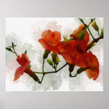 Aquarelle de fleurs rouges