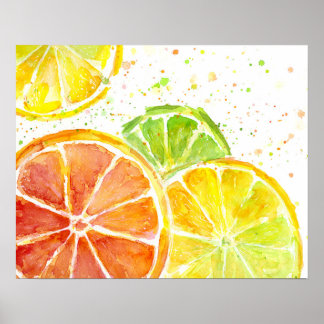 Poster Aquarelle de fruits d'agrumes