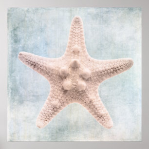 Poster Aquarelle de la Crème Bleue du littoral en étoile