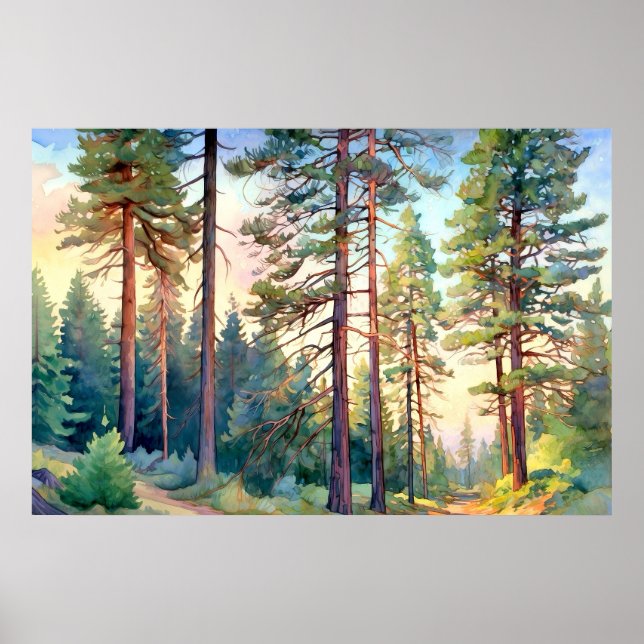 Poster Aquarelle de la forêt de pins serene Imprimer (Devant)