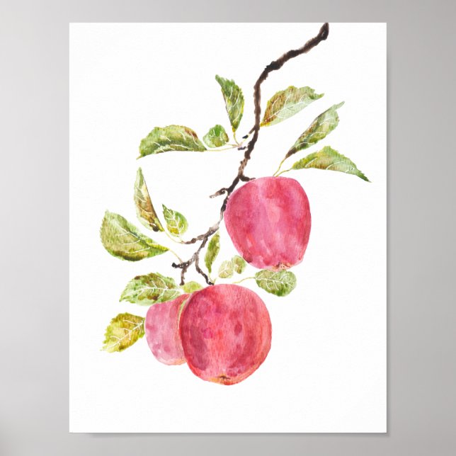 Poster aquarelle de pomme rouge (Devant)