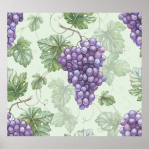Poster Aquarelle de raisins, Motif sans arôme de fruits.