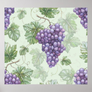 Poster Aquarelle de raisins, Motif sans arôme de fruits.