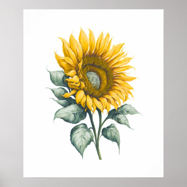 Poster Aquarelle de tournesol (Devant)