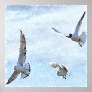 Poster Aquarelle de trois mouettes