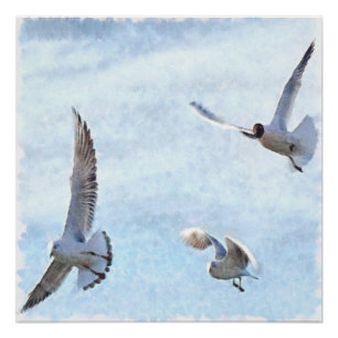Poster Aquarelle de trois mouettes