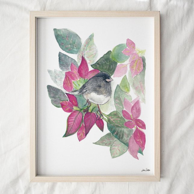 Poster Aquarelle d'Oiseau foncé Junco (Créateur téléchargé)