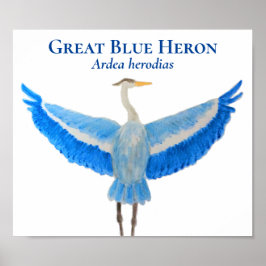 Poster Aquarelle d'oiseau scientifique Grand Héron bleu