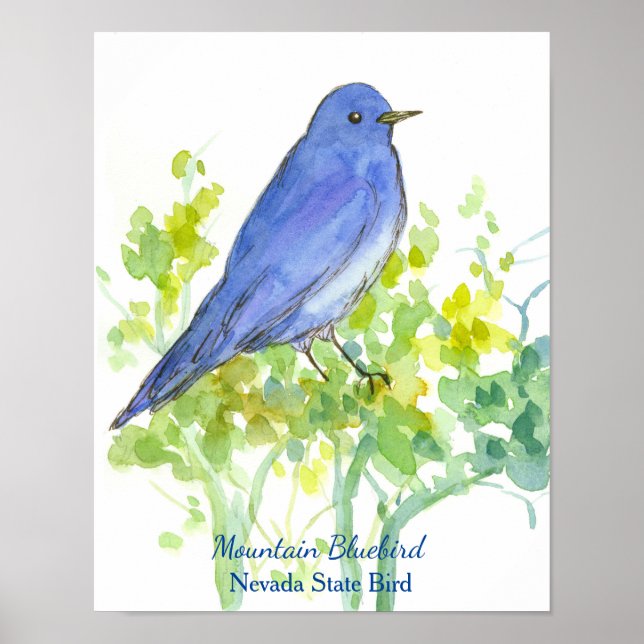 Poster Aquarelle d'oiseaux d'état du Nevada (Devant)