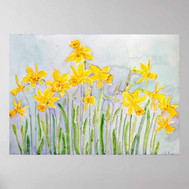 Poster aquarelle du champ de jonquilles jaunes peintes à  (Devant)