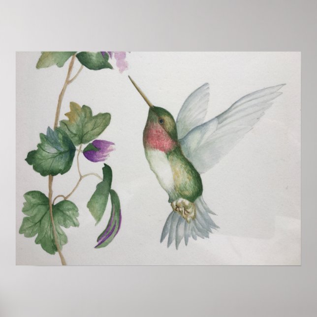 Poster Aquarelle du jardin des colibris (Devant)