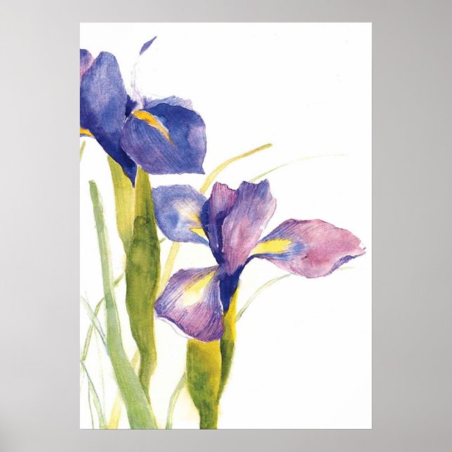 Poster Aquarelle en fer floral (Devant)