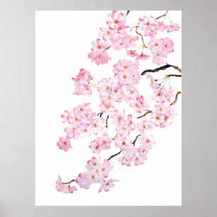 Poster Aquarelle en fleur de cerisier rose 2024 2