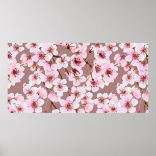 Poster Aquarelle en motif transparent en fleur de cerisie