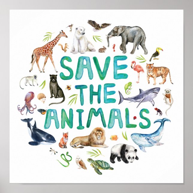 Poster Aquarelle Enregistrer les animaux (Devant)