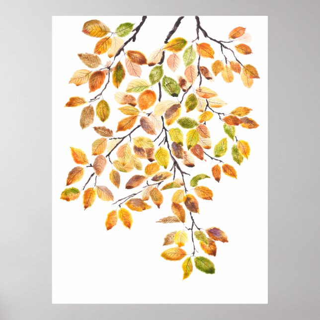 Poster aquarelle feuille de hêtre jaune orange d'automne (Devant)