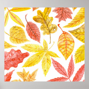 Poster Aquarelle feuilles d'automne, motif coloré.