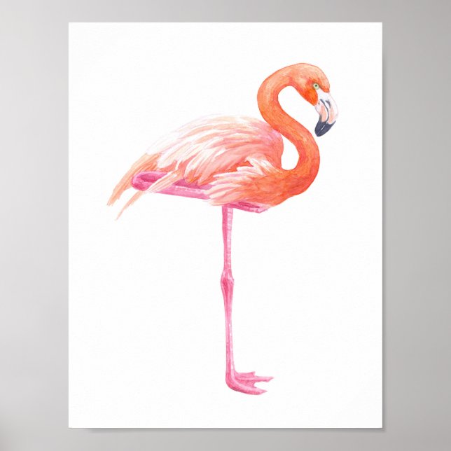 Poster aquarelle Flamant rose (Devant)