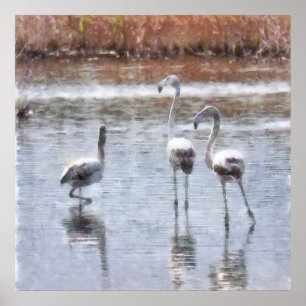 Poster Aquarelle Flamant rose Pose