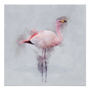 Poster Aquarelle Flamant rose rose