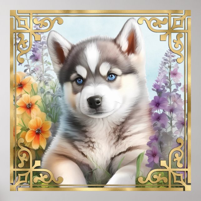 Poster Aquarelle Floral Husky Sibérien avec cadre Or (Devant)