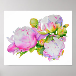 Poster Aquarelle florale classique et élégante de pivoine