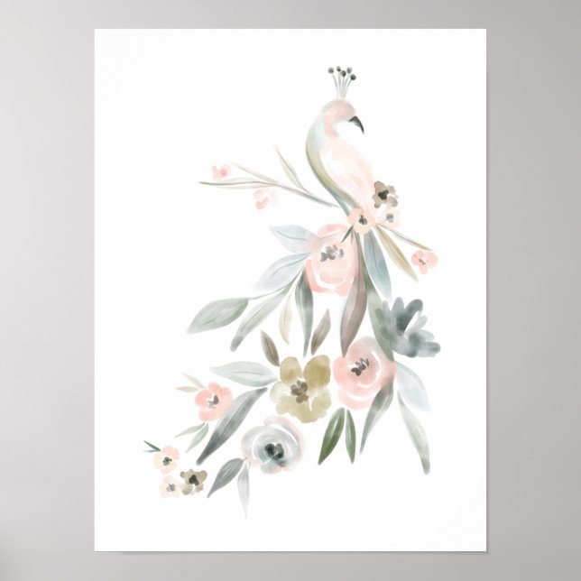 Poster Aquarelle Florale Peacock Botanique Illustration (Devant)