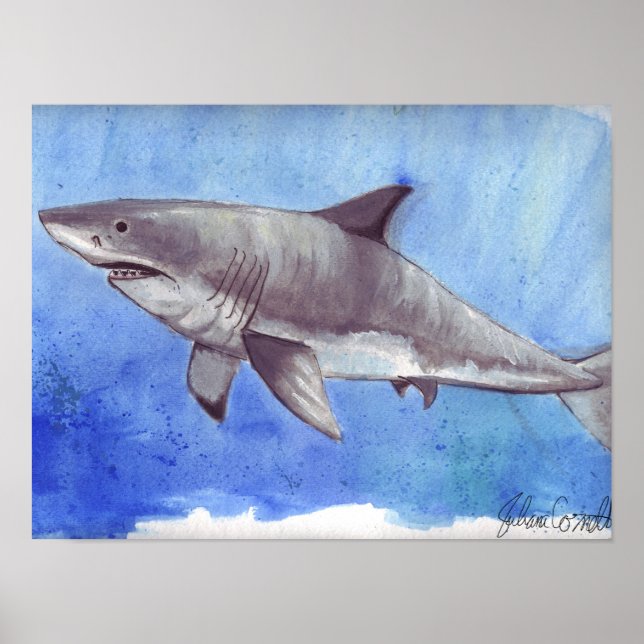 Poster Aquarelle Grand requin blanc (Devant)