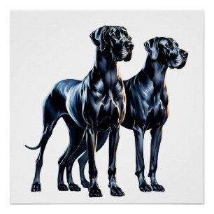 Poster Aquarelle Great Danes