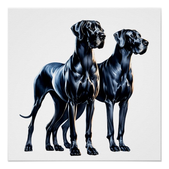Poster Aquarelle Great Danes (Devant)