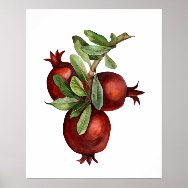 Poster Aquarelle grenade biologique (Devant)