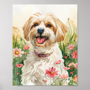 Poster Aquarelle Havanais Portrait Mur Art Imprimer