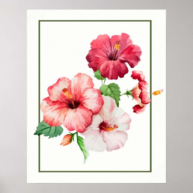 Poster Aquarelle Hibiscus Fleurs tropicales (Devant)