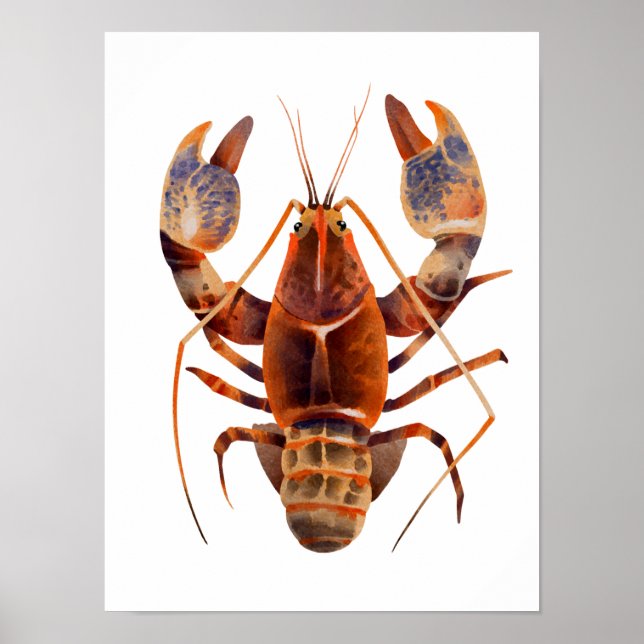Poster Aquarelle Homard Crustaceancore (Devant)
