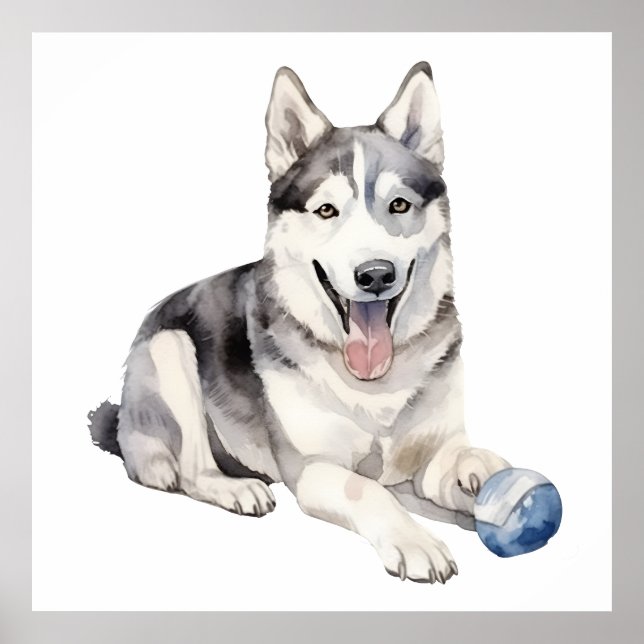 Poster Aquarelle Husky Chien (Devant)