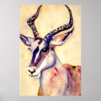Poster Aquarelle Impala