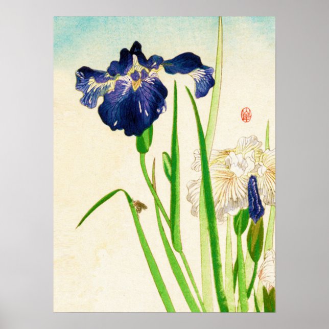 Poster Aquarelle japonaise bleu Iris (Devant)