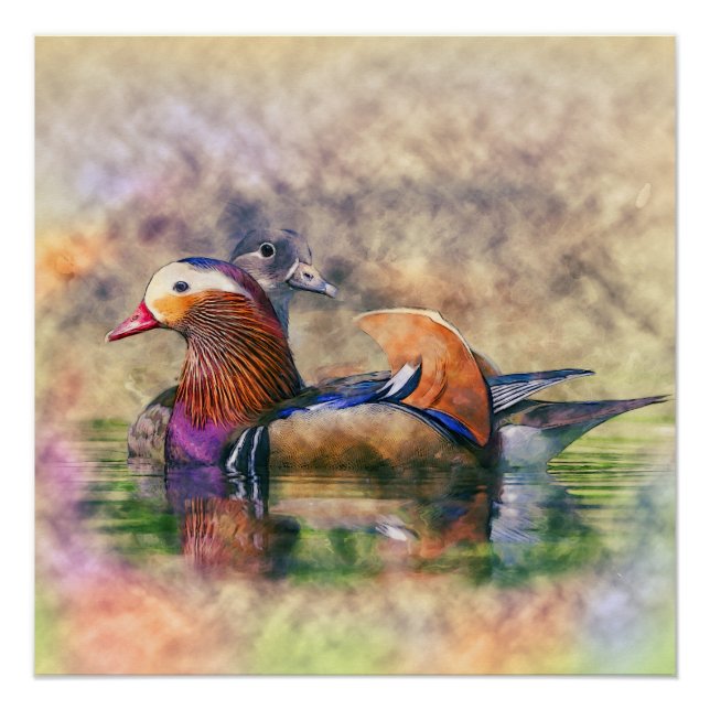 Poster Aquarelle Mandarin Canards Feng Shui Symbole (Devant)