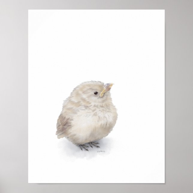 Poster Aquarelle numérique Baby Sparrow (Devant)