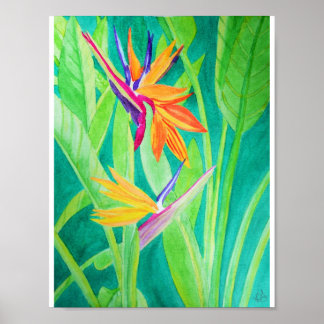 Poster Aquarelle Oiseau de fleurs paradisiaques