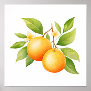 Poster Aquarelle Orange Avec Fleur