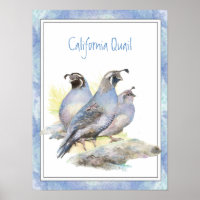 Aquarelle originale California Quail Bird