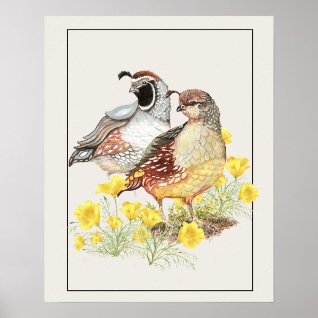 Poster Aquarelle originale Californie Quail Homme & Femme (Devant)