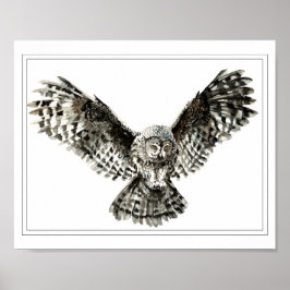 Poster Aquarelle originale Frappe ou Chasse Chouette Oise